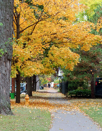 Urban street, Toronto, Canada